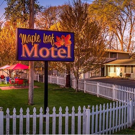 Maple Leaf Motel Shady Cove ภายนอก รูปภาพ